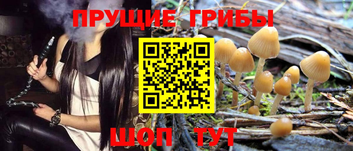 Галлюциногенные грибы мухоморы Томск