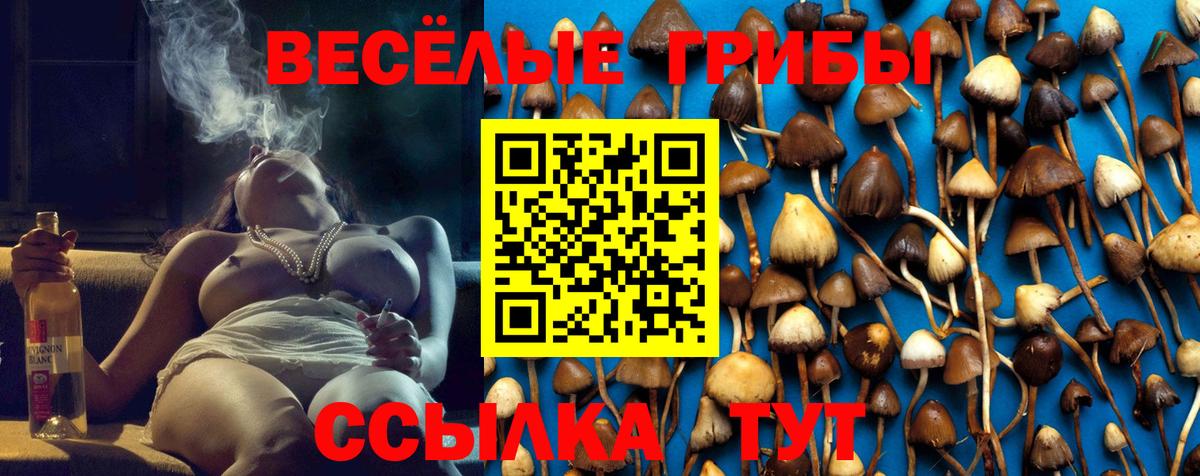 Томск  Псилоцибиновые грибы мицелий  закладка  Вход с VPN 